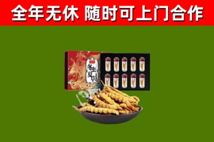 广汉市回收冬虫夏草价格